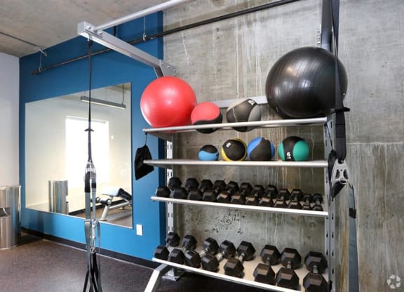 Free Weights In Gym at Link Apartments® Canvas, Atlanta, 30312
