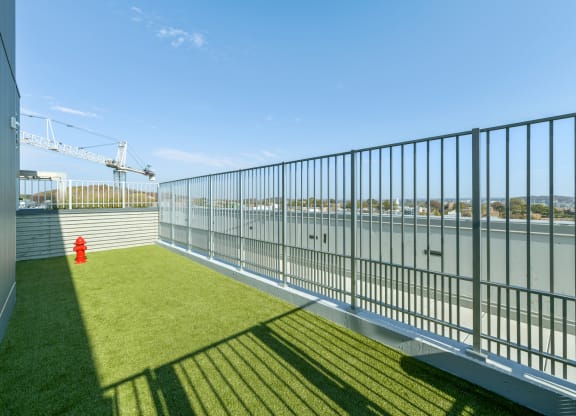 Dog Park at Link Apartments® H Street, Washington, 20002