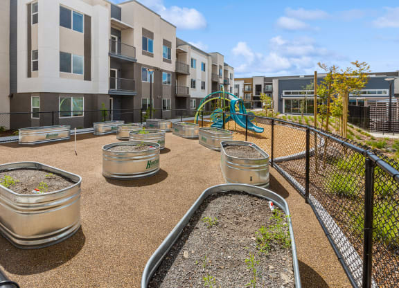 Community garden at Brix 325