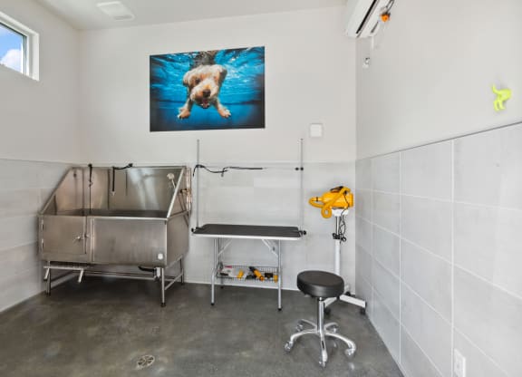Dog grooming station at Brix 325