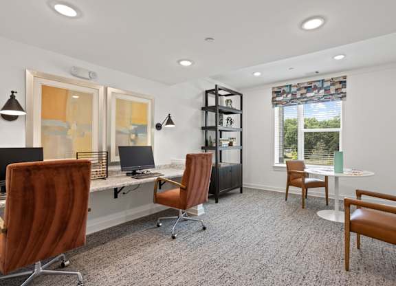 Ovata at Reedy Creek Senior Apartments in Charlotte NC Business Center with computers for residents