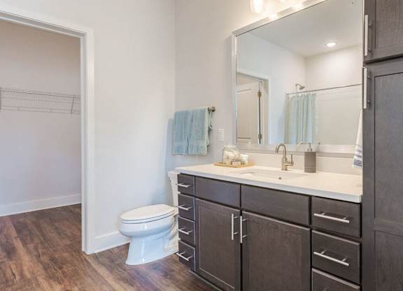 a bathroom with a sink and a toilet and a mirror