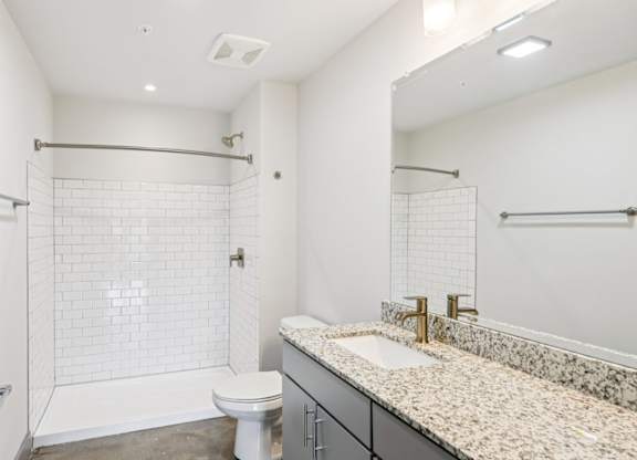 Bathroom in Converse Mill Lofts in Spartanburg, SC with walk-in closet and sink with granite countertop