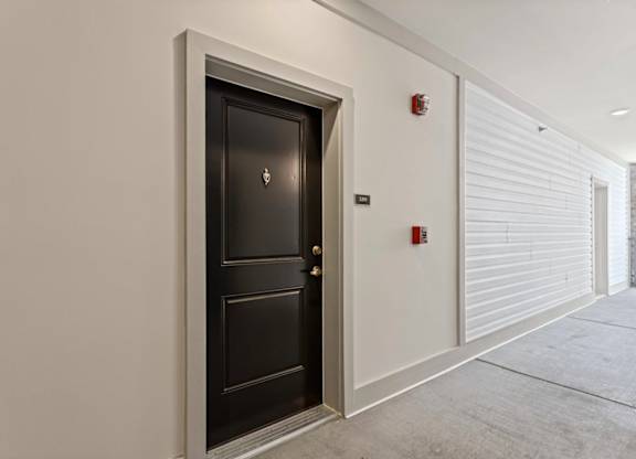 Peaks of Lexington Black Door