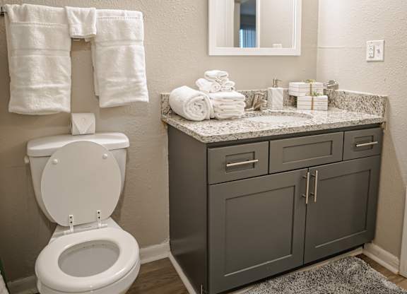 A white toilet is in a bathroom with a grey cabinet and a mirror.