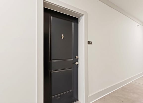 Peaks of Lexington Apartments Black Door