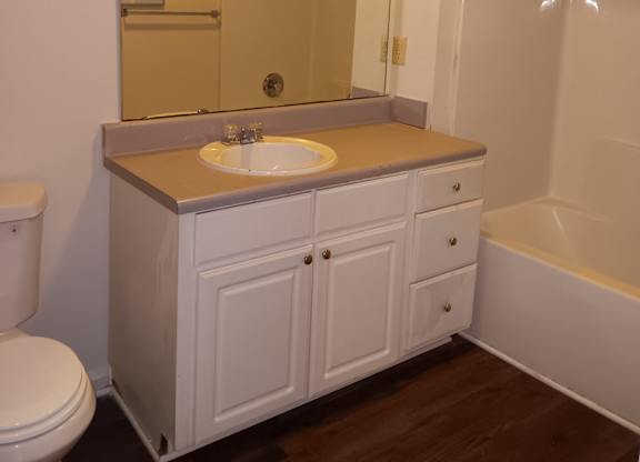 a bathroom with a sink and a shower and a toilet
