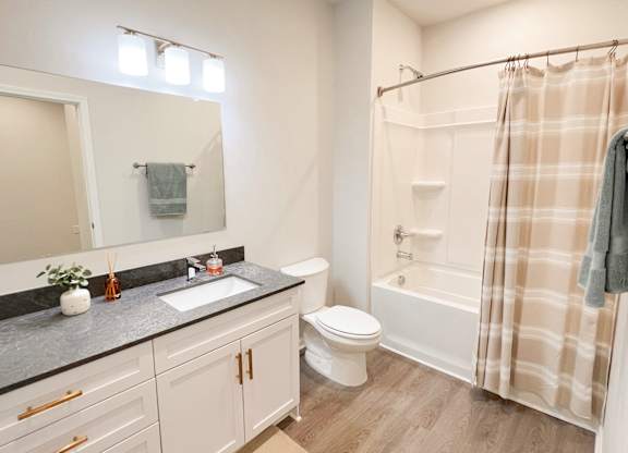 Pet-Friendly Luxury Apartments In Boiling Springs, SC - Grande At Geyser Falls - Bathroom with Bathtub, Shower and Large Sink