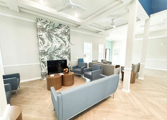 The Haven at Palmer Pointe Senior Apartments Living Room in Community Center with couches and a television