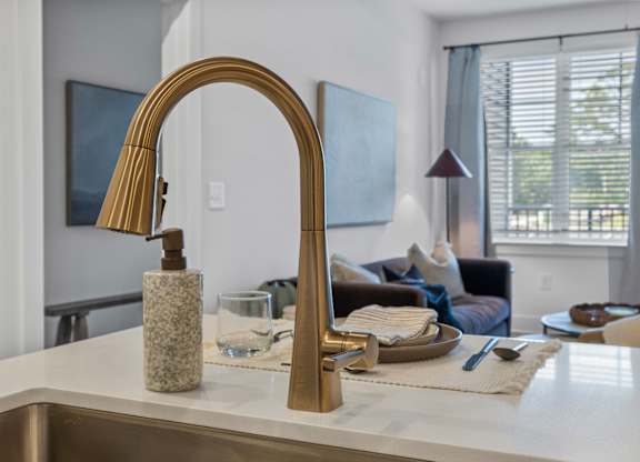 A kitchen sink with a gold faucet and soap holder.