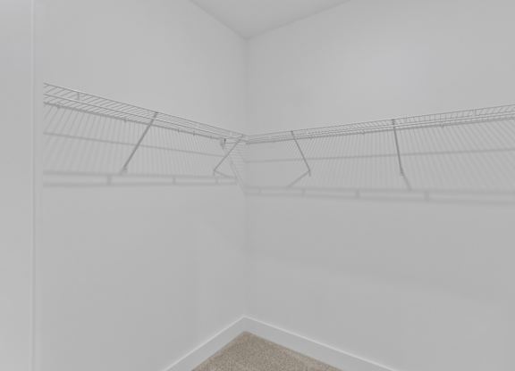 A white room with a shelf and a carpet.