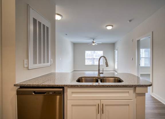 A kitchen with a stainless steel dishwasher and a granite countertop.
