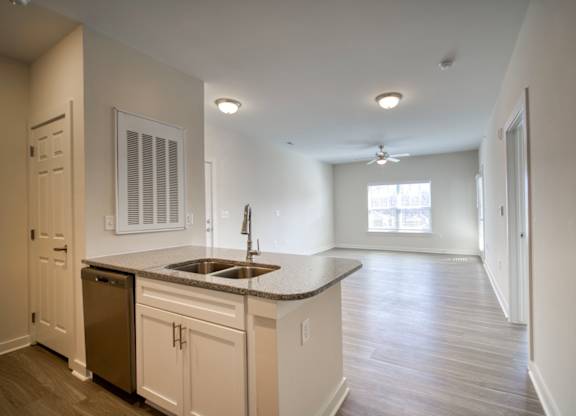 A kitchen with a sink, dishwasher, and a window.