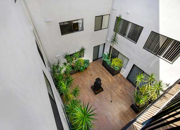 Courtyard view with plants. at The Hilgard, Los Angeles, California