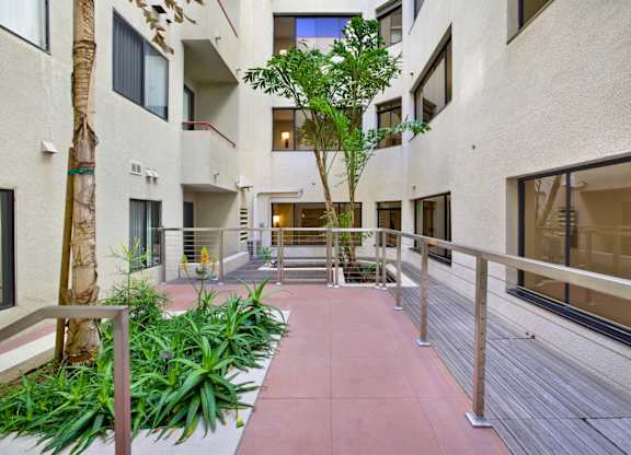 A courtyard with a tree and plants.