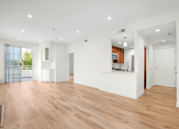 Apartment living room built-in cabinets, balcony, and kitchen.