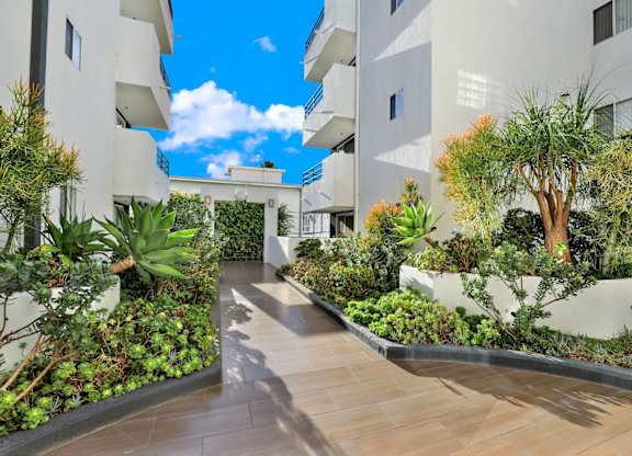 Courtyard at Midvale Towers Apartments Westwood, Los Angeles, California