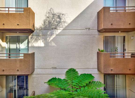 A building with balconies and a green plant in front at Peach Tree Court, Los Angeles, 90024