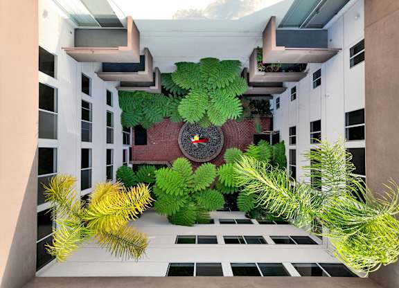 A green plant is in the middle of a room at Peach Tree Court, Los Angeles, California