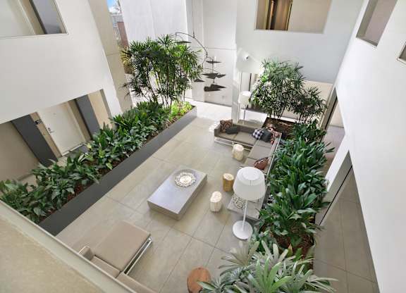 A living room with a couch, a table, and a potted plant at The Urbanpolitan, Los Angeles, California