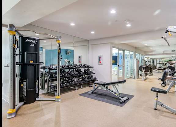 A gym with a variety of equipment including a treadmill, weights, and a bench press.