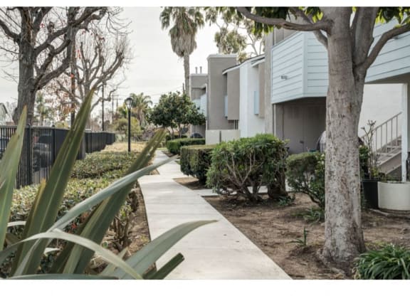 Courtyard View at Costa Mesa Family Village, Costa Mesa, CA