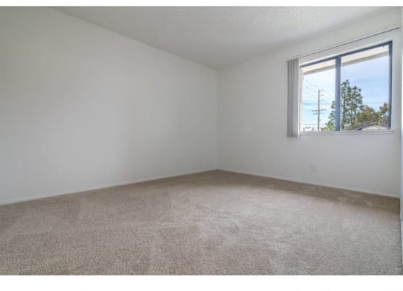 Plush Carpeting at Costa Mesa Family Village, California