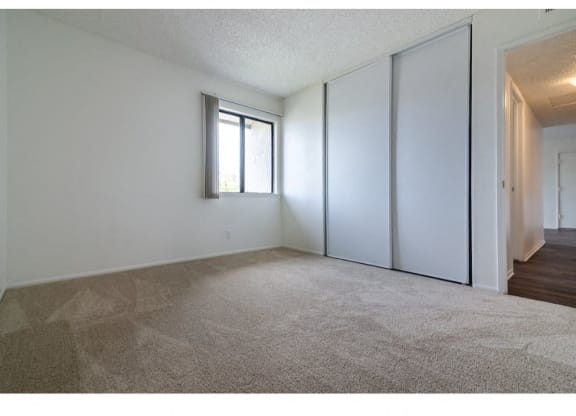 Trendy Master Carpeted at Costa Mesa Family Village, California, 92627