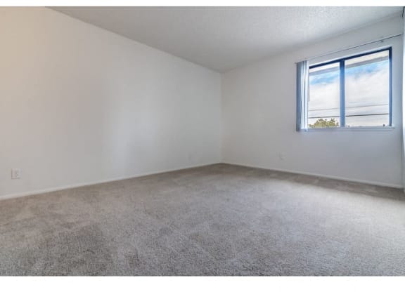 Wall-To-Wall Carpeting at Costa Mesa Family Village, Costa Mesa, CA, 92627