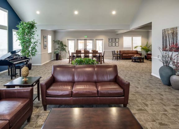 Couch at Meadow Wood at Alamo Creek, California