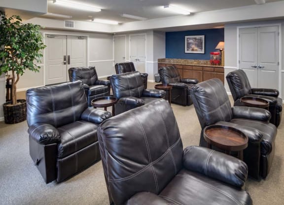 Movie room at Meadow Wood at Alamo Creek, Danville, California