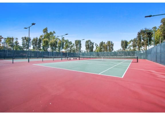 Tennis court with lights and trees in the background  at Harvard Manor, Irvine, CA, 92612