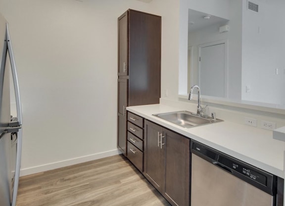 a kitchen with a sink and a refrigerator and lagre, spacious cabinets and pantry at Deer Creek Apartments, San Ramon, CA