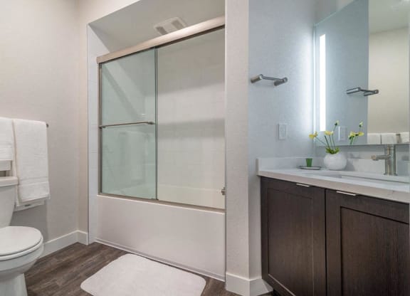 Bathroom at Montecito Apartments at Carlsbad, Carlsbad, California