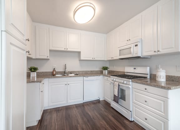 Designer Kitchens with Gas Appliances at Park Apartments, California, 90650