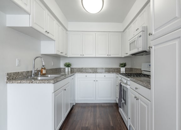 Spacious Kitchen at Park Apartments, California