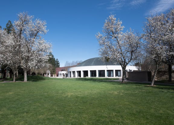 a building with a domed roof and a grassy area in front of it  at Falcon Bridge at Gale Ranch, San Ramon, California