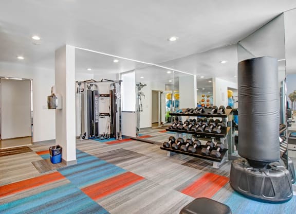 the home has a gym with weights and cardio equipment. at The Kenmore Los Feliz, Los Angeles, 90027-4063