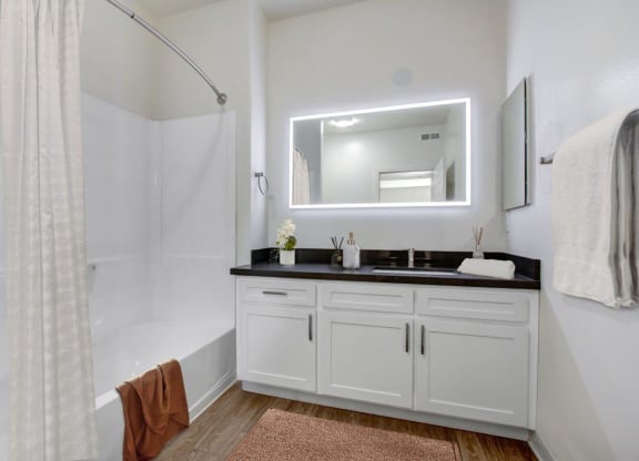 a bathroom with a sink and a mirror at Toluca Court, California, 91602