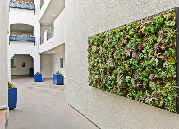 a living wall on the side of a building at Alon Apartments, Los Angeles