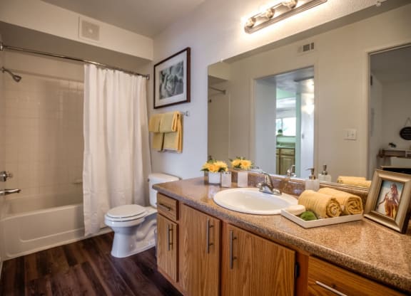 a bathroom with a sink and a toilet and a shower at Bella Terra Apartments, Nevada, 89012