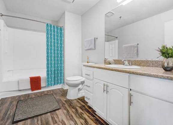 Luxurious Bathroom at The Park Apartments, California