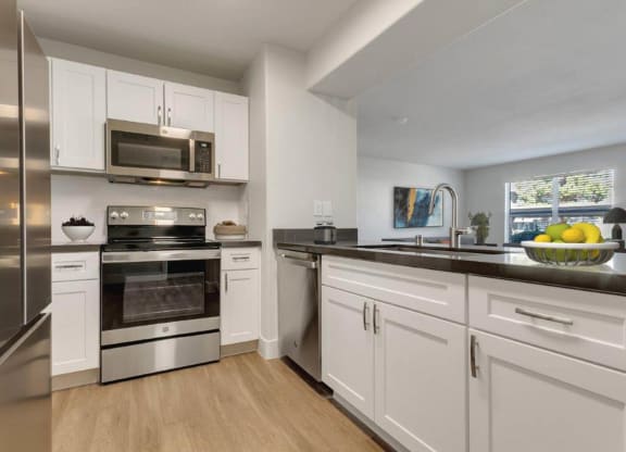 Kitchen cabinets at Bella Terra Apartments, Nevada, 89012