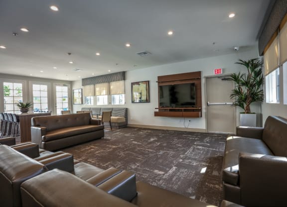 TV unit at The Villas at Monarch Beach, Dana Point, CA, 92629