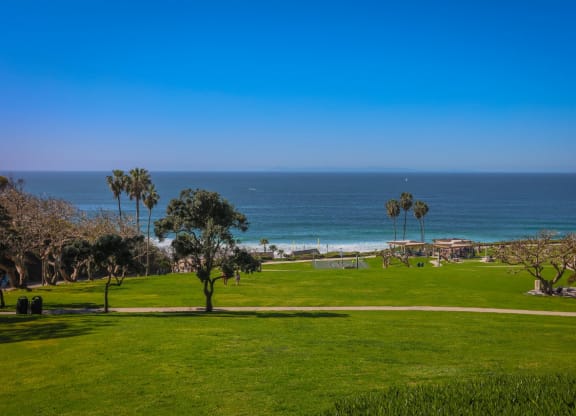 Greenery at The Villas at Monarch Beach, Dana Point, California
