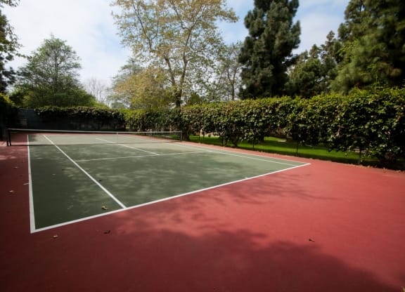 Ground at The Villas at Monarch Beach, Dana Point, CA