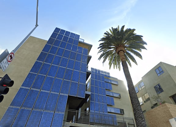 A tall building with blue panels and a palm tree in front of it.