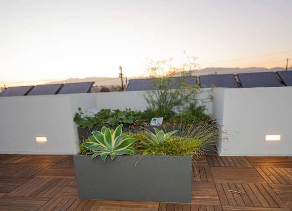 Rooftop with Community Garden