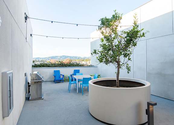 A patio with a table and chairs and a tree in a planter.