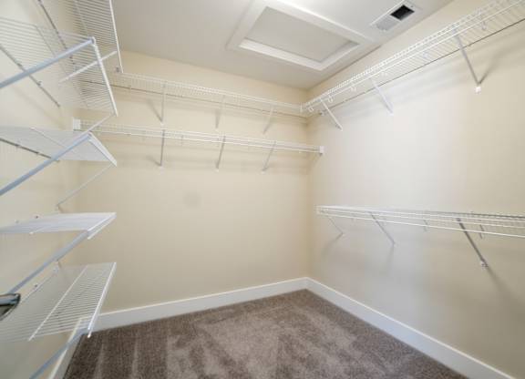 Empty walk-in closet with shelves and carpeted floor.